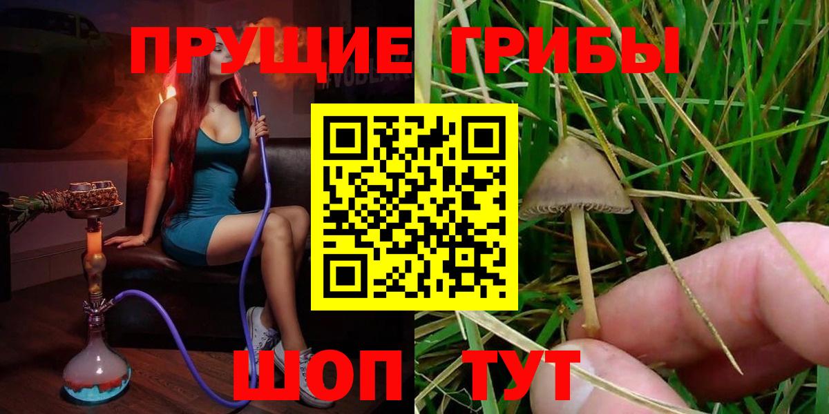 Псилоцибиновые грибы мухоморы Магнитогорск